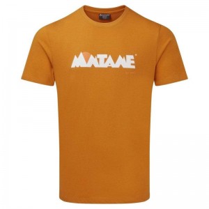 Yellow Men's Montane Lightweight Heritage T Shirts | QBB8619FM